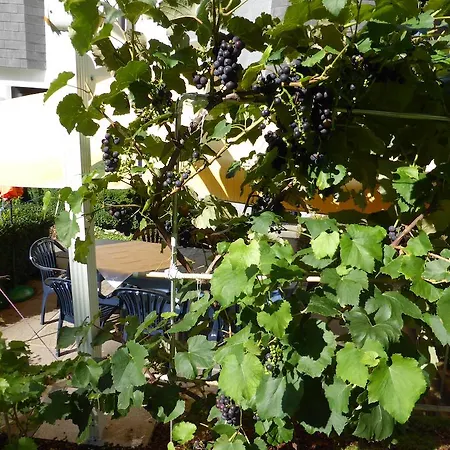 Leitgebhof Πανσιόν Ίνσμπρουκ